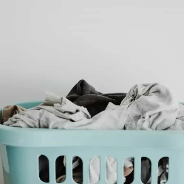 laundry services near me